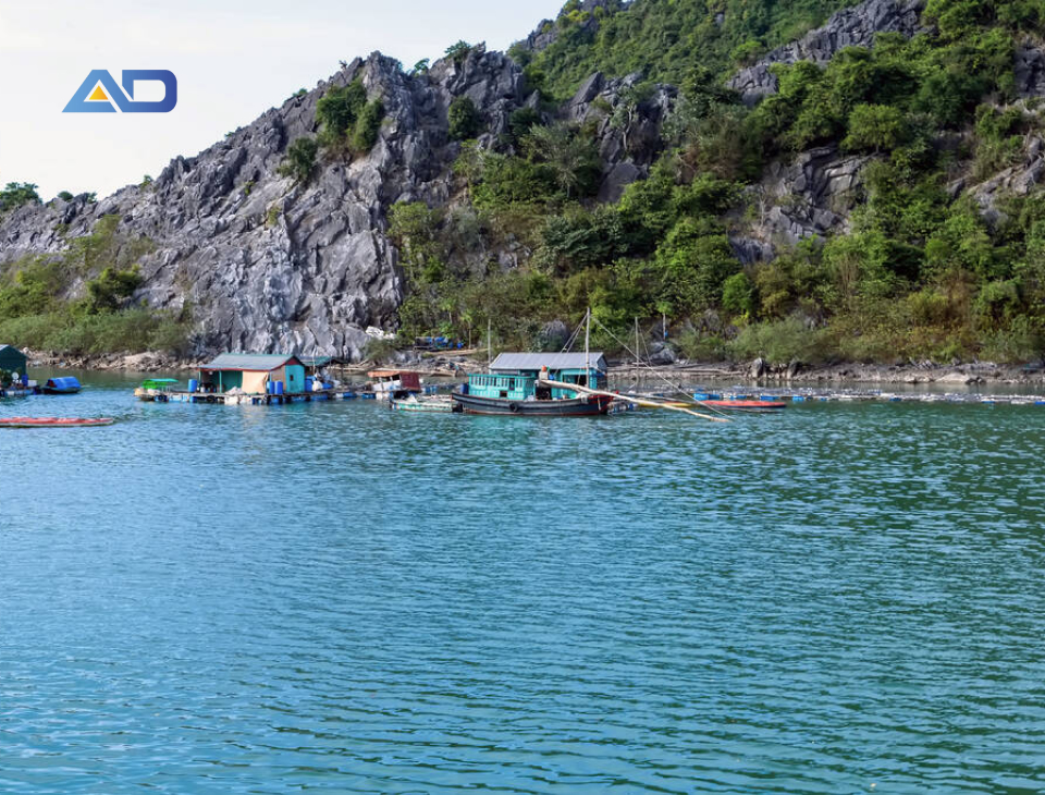 thuê xe 16 chỗ Hà Nội đi du lịch Quảng Ninh