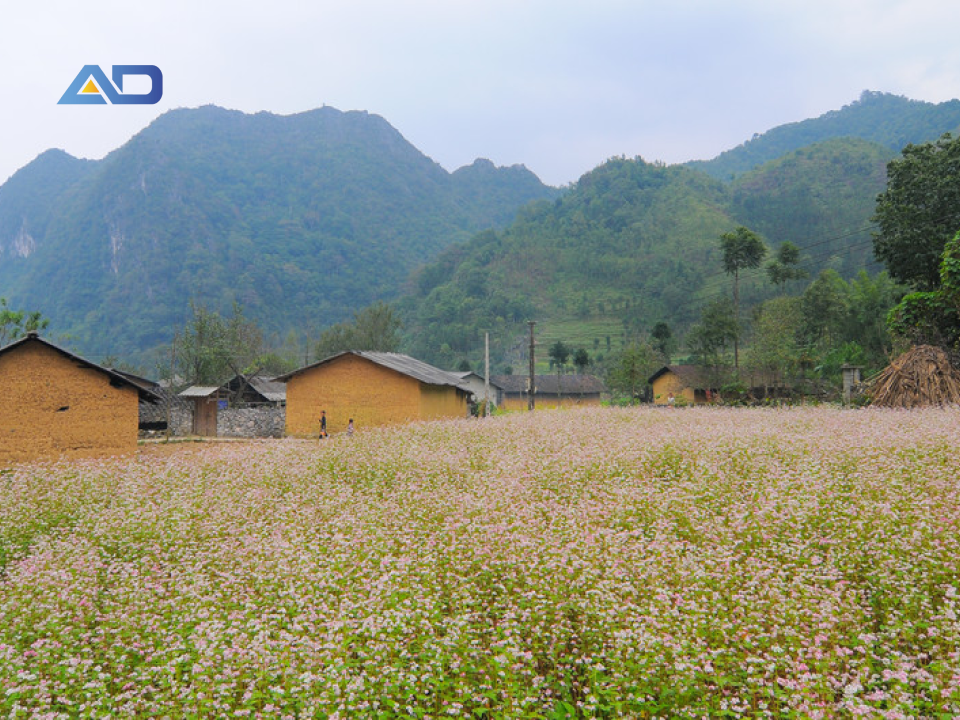 Hà Giang là địa điểm thú vị nếu bạn đang phân vân Tết nên đi du lịch ở đâu miền Bắc