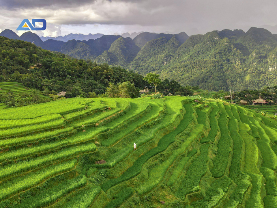 Địa điểm du lịch Tây Bắc Pù Luông