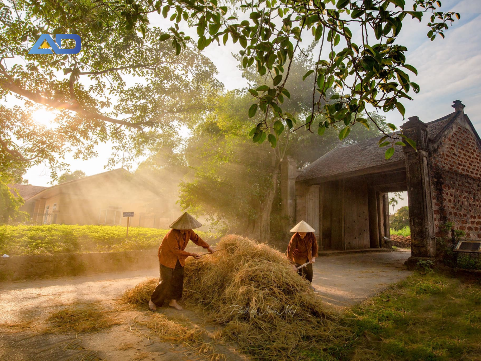 Khu du lịch sinh thái gần Hà Nội bình yên