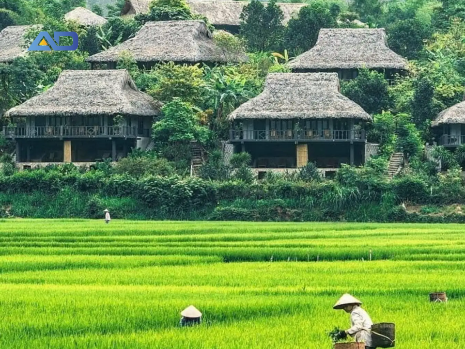 Mai Châu là một trong những địa điểm du lịch rẻ và đẹp