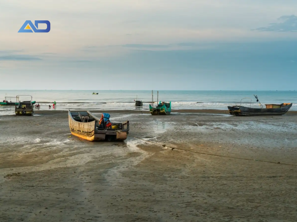 Thuê xe Hà Nội Quảng Ninh để chiêm chiêm ngưỡng vẻ đẹp của Trà Cồ