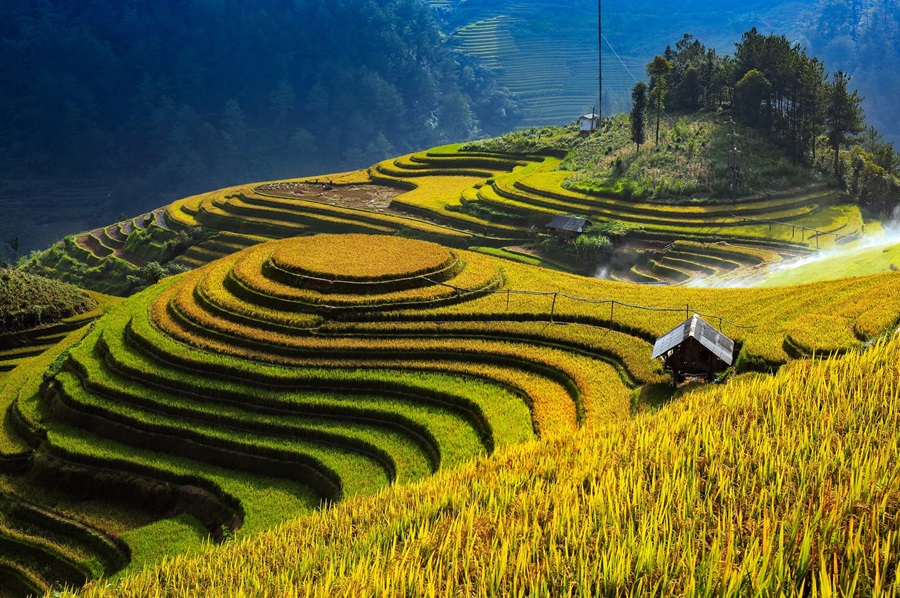 Ruộng Bậc Thang Mù Cang Chải